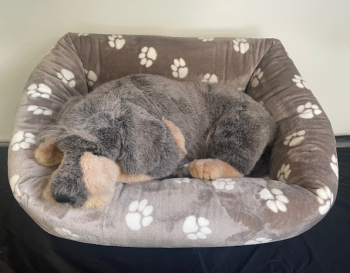 Kuschelbett - Supermini Pfote taupe 55x40 cm außen